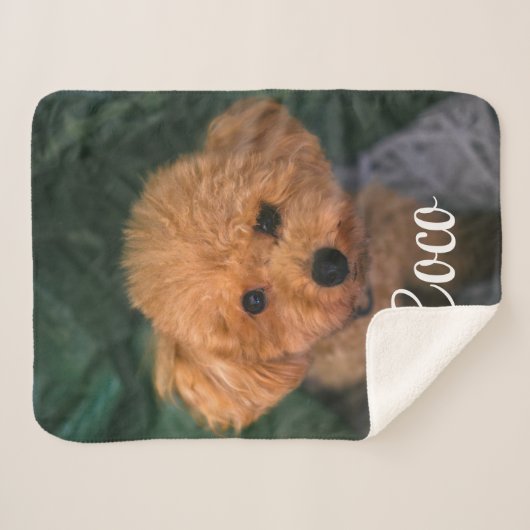 Aangepast Afbeelding en naam Cute Dog Blanket Cft Sherpa Deken (Voorkant (horizontaal))