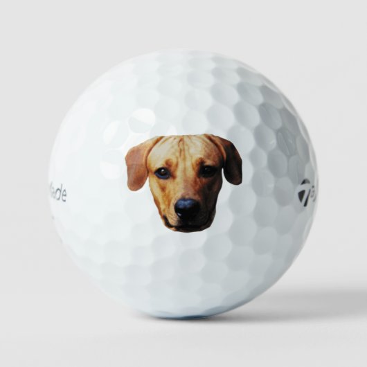 Aangepast Afbeelding Golf-ballen met een hond-gezi Golfballen (Voorkant)