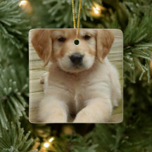 Aangepast afbeelding met dubbele foto's voor kerst