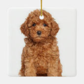 Aangepast afbeelding met dubbele foto's voor kerst keramisch ornament (Achterkant)