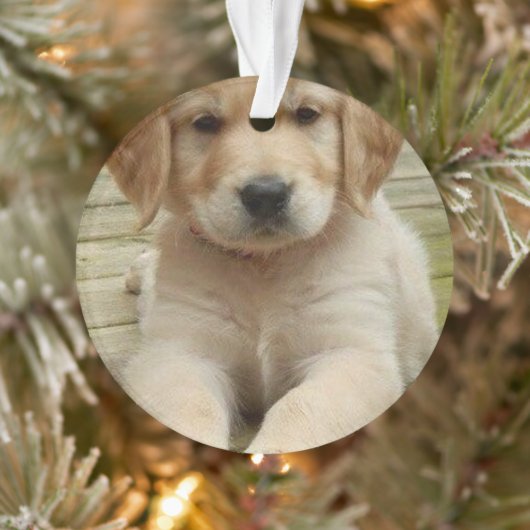 Aangepast afbeelding met dubbele foto's voor kerst ornament (Boom)