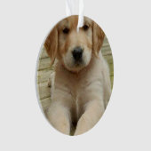 Aangepast afbeelding met dubbele foto's voor kerst ornament (voorkant)