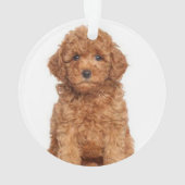 Aangepast afbeelding met dubbele foto's voor kerst ornament (achterkant)