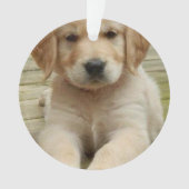 Aangepast afbeelding met dubbele foto's voor kerst ornament (voorkant)