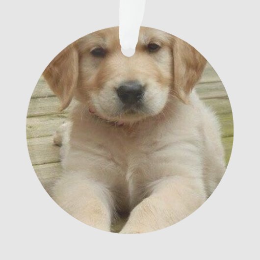 Aangepast afbeelding met dubbele foto's voor kerst ornament (voorkant)