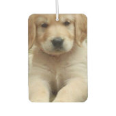 Aangepast afbeelding van de douanefoto twee zijkan luchtverfrisser (Voorkant)