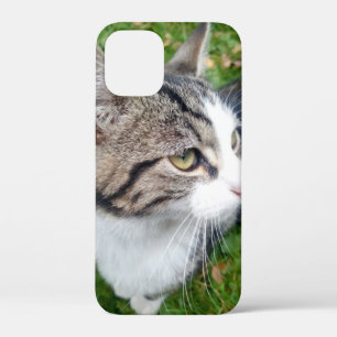 Aangepast afbeelding voor gezelschapsdieren of fam iPhone 12 mini hoesje