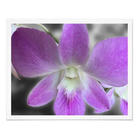 Aangepast afdrukken 16 x 20 Fotouitbreiding Foto Afdruk (Voorkant)