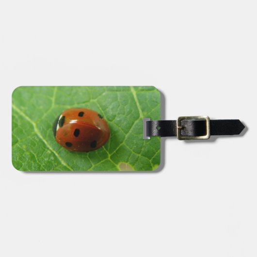 Aangepast Bagagelabel Ladybug (Voorkant horizontaal)