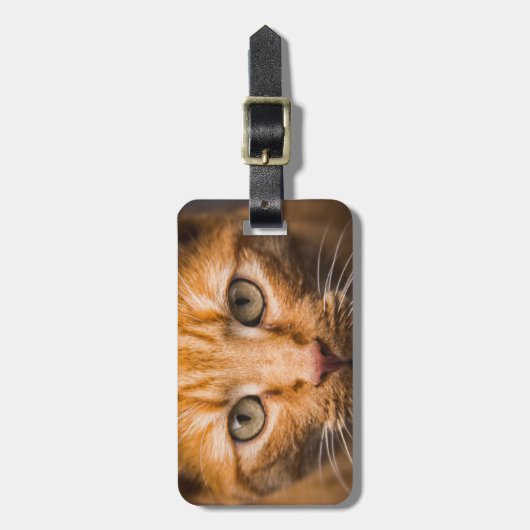 Aangepast bagagelabel voor startkat (Voorkant verticaal)