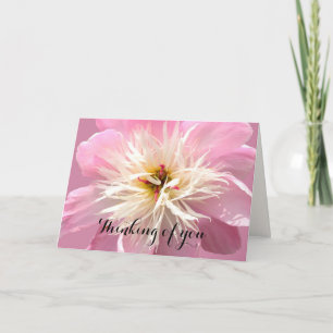 Aangepast bericht voor Frilly Pink Peony Kaart