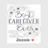 Aangepast beste zorgverlener ooit sticker (Vel)