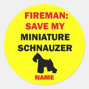 Aangepast Bewaar Mijn Miniatuur Schnauzer Ronde Sticker