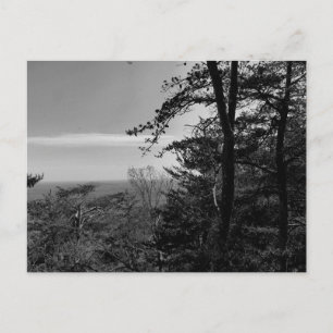 Aangepast Briefkaart met zwart-witfoto