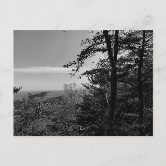 Aangepast Briefkaart met zwart-witfoto (Voorkant)