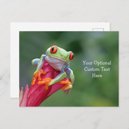 Aangepast Briefkaart Tekstkikker (Voorkant / Achterkant)