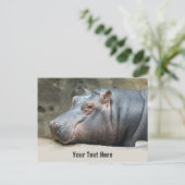 Aangepast briefkaart voor Hippopotamus (Staand voorkant)