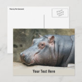 Aangepast briefkaart voor Hippopotamus (Voorkant / Achterkant)