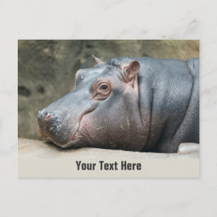 Aangepast briefkaart voor Hippopotamus