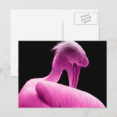 Aangepast Briefkaart voor Hot Pink Pelican (Voorkant / Achterkant)