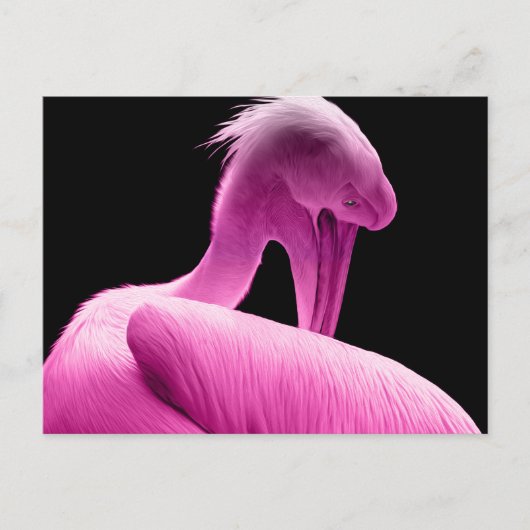 Aangepast Briefkaart voor Hot Pink Pelican (Voorkant)