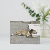 Aangepast briefkaart voor tired Dog (Staand voorkant)