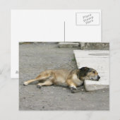 Aangepast briefkaart voor tired Dog (Voorkant / Achterkant)