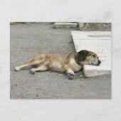 Aangepast briefkaart voor tired Dog (Voorkant)