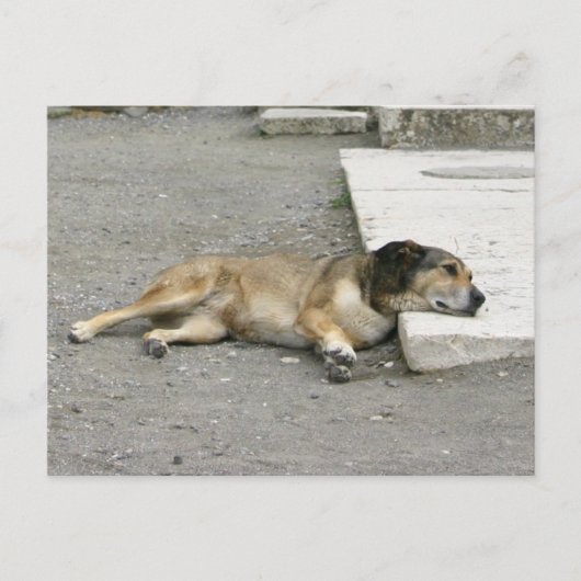 Aangepast briefkaart voor tired Dog (Voorkant)