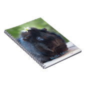 Aangepast // cavia's met een maaltijd notitieboek (Rechterzijde)