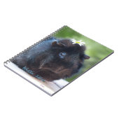Aangepast // cavia's met een maaltijd notitieboek (Linkerzijde)