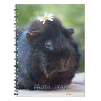 Aangepast // cavia's met een maaltijd notitieboek