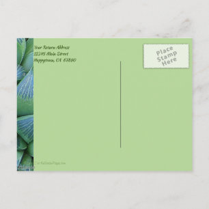 Aangepast dank u Groen Succulent Plant Briefkaart