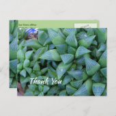 Aangepast dank u Groen Succulent Plant Briefkaart (Voorkant / Achterkant)