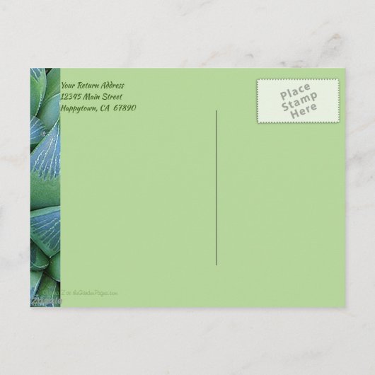 Aangepast dank u Groen Succulent Plant Briefkaart (Achterkant)