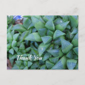 Aangepast dank u Groen Succulent Plant Briefkaart (Voorkant)
