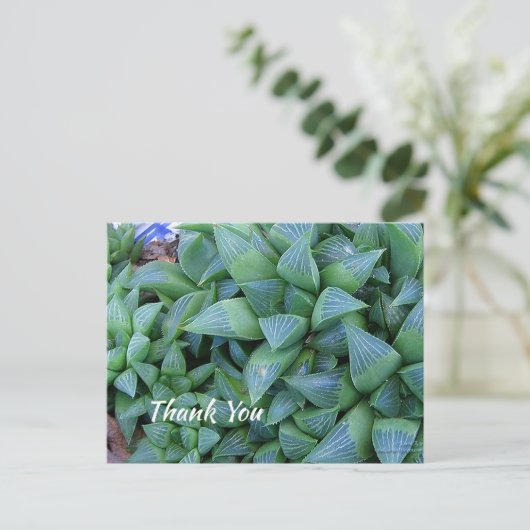 Aangepast dank u Groen Succulent Plant Briefkaart (Staand voorkant)