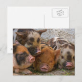 Aangepast, eigen foto- en tekstBriefkaart Briefkaart (Voorkant / Achterkant)