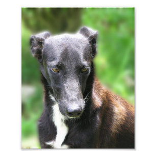 Aangepast formaat 8 x 10 foto afdrukken