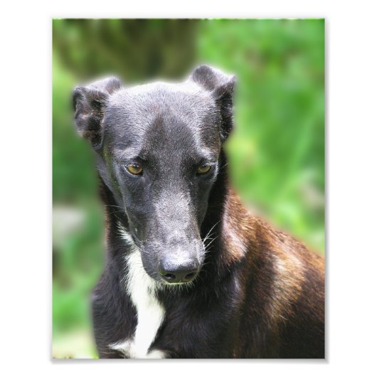 Aangepast formaat 8 x 10 foto afdrukken (Voorkant)