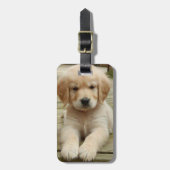 Aangepast foto-afbeelding dubbelzijdig gepersonali bagagelabel (Voorkant verticaal)