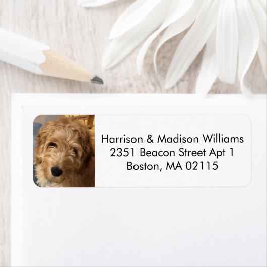 Aangepast foto-afbeelding modern, leuk retouradres etiket (Insitu)