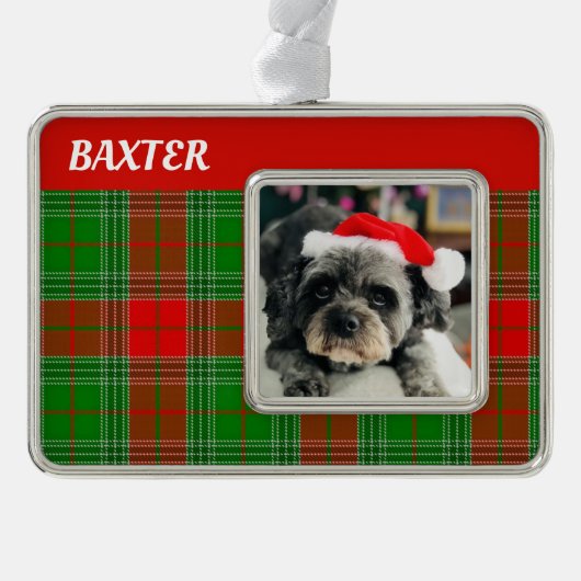 Aangepast foto-inktpatroon gegoten Ornament (Voorkant)