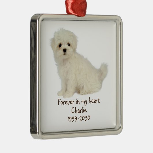 Aangepast foto Memorial Keepomwille Pet Dog Metal  Metalen Ornament (Rechts)