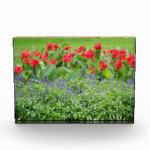 Aangepast fotoblok (Voorkant)