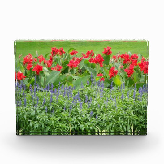 Aangepast fotoblok (Voorkant)