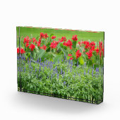 Aangepast fotoblok (Rechts)