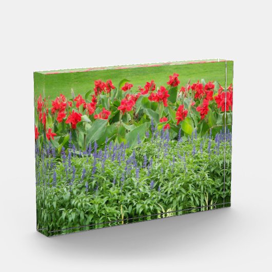 Aangepast fotoblok (Links)