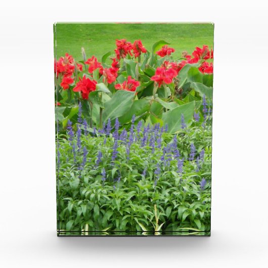 Aangepast fotoblok (Voorkant)