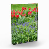 Aangepast fotoblok (Links)